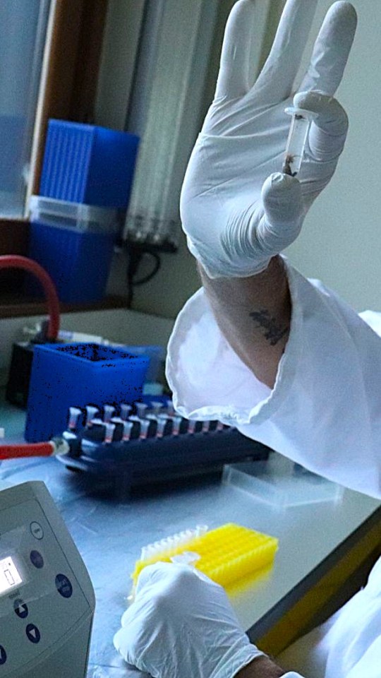 Source : Eitanite Bellaïche pour Numerama Source : Eitanite Bellaïche pour Numerama