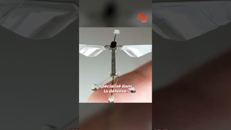 Pourquoi ce « moustique » inquiète les armées du monde