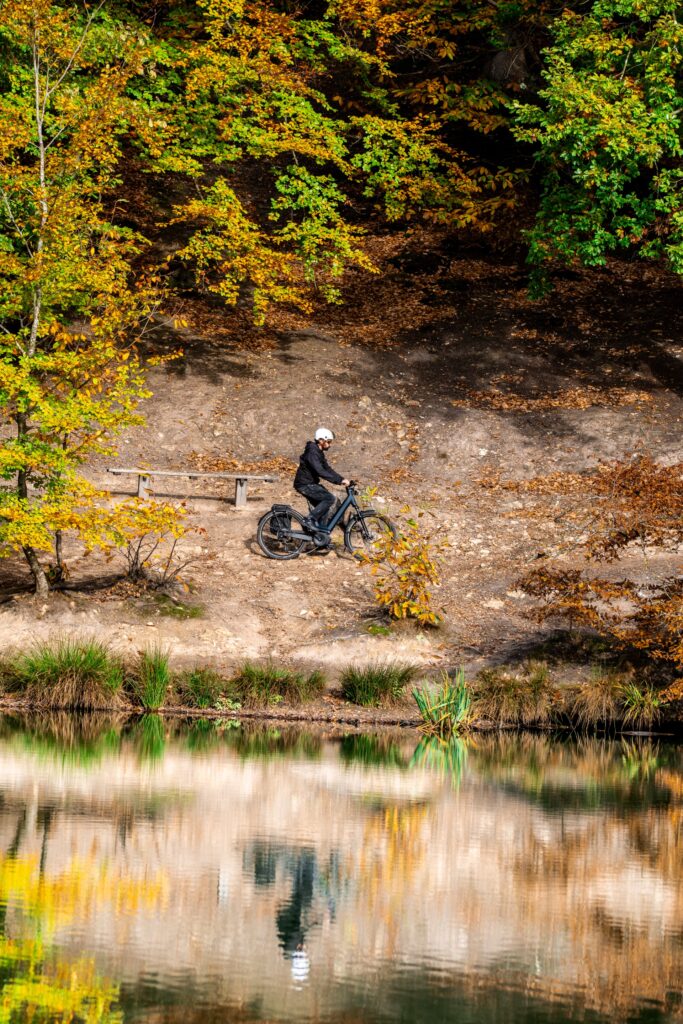 Parfaitement à l'aise en forêt Parfaitement à l'aise en forêt