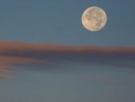 Pleine Lune. // Source : Canva Pleine Lune. // Source : Canva