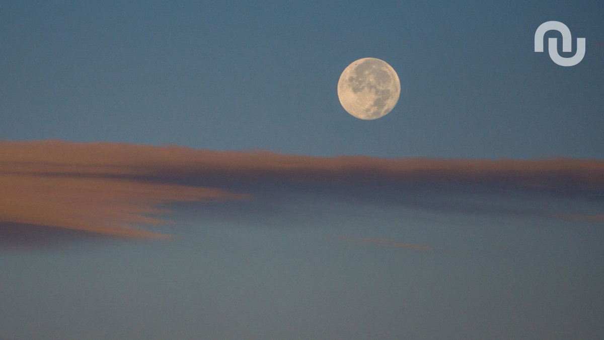 Pleine Lune. // Source : Canva Pleine Lune. // Source : Canva