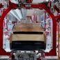 production Tesla Cybercab // Source : Capture live Tesla production Tesla Cybercab // Source : Capture live Tesla