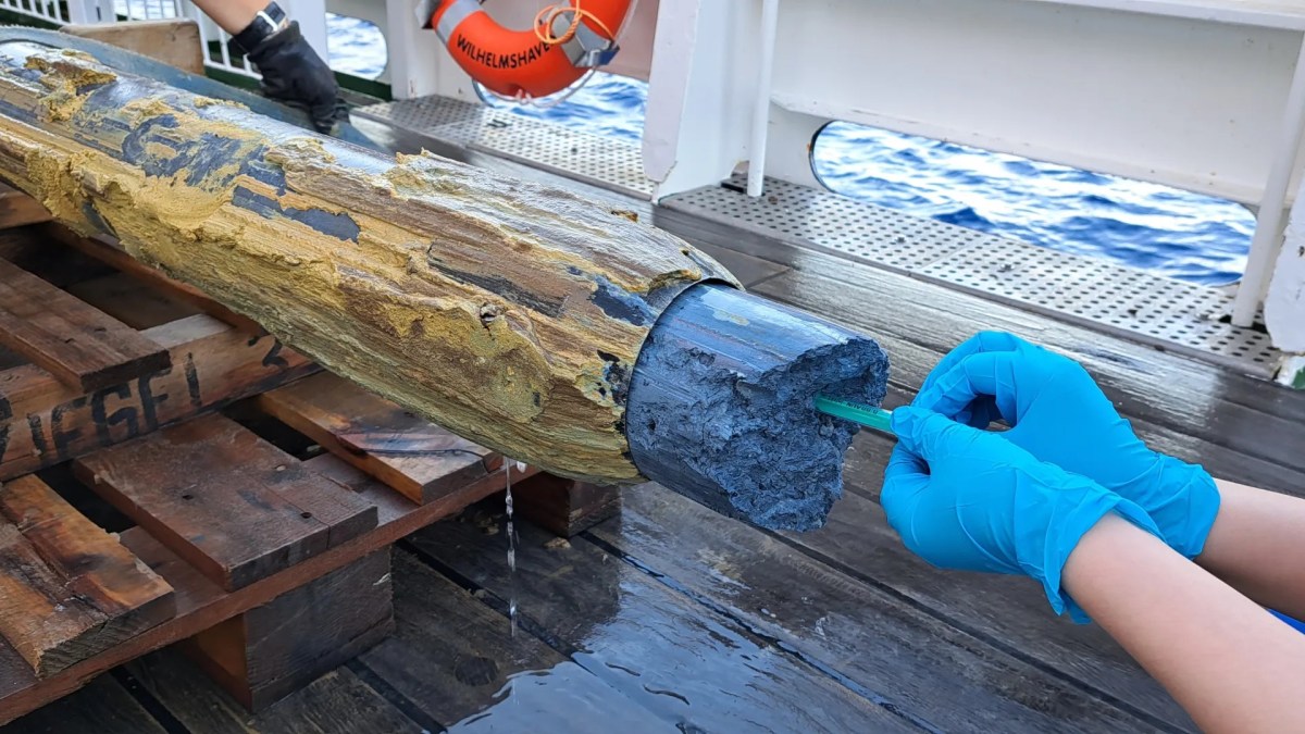 Serpentinite bleue retrouvée au fond d'un volcan