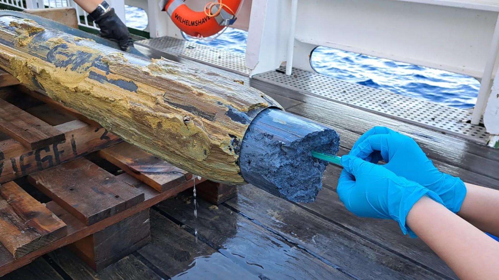 On a trouvÃ© de la vie dans cette drÃ´le de gelÃ©e volcanique bleue