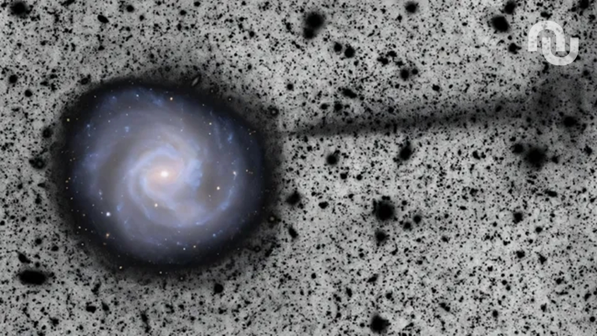 Courant stellaire dans la galaxie M61