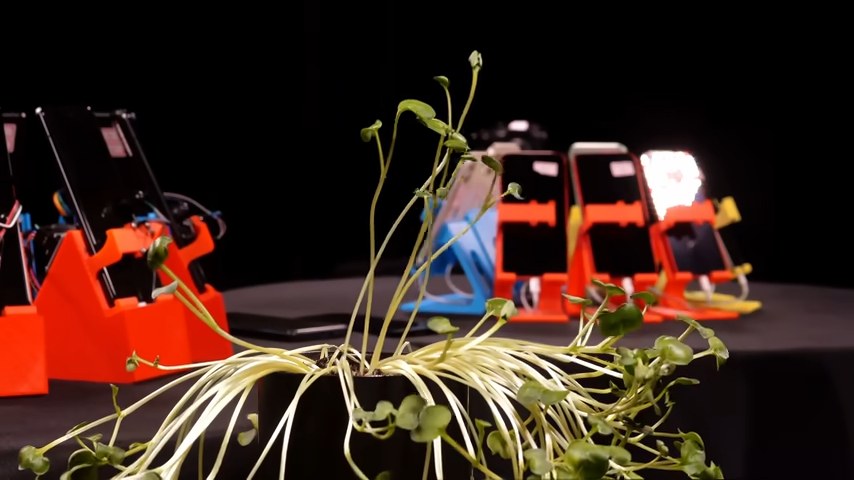 Dans sa salle, le YouTuber a installé des plantes pour montrer l'évolution du temps.