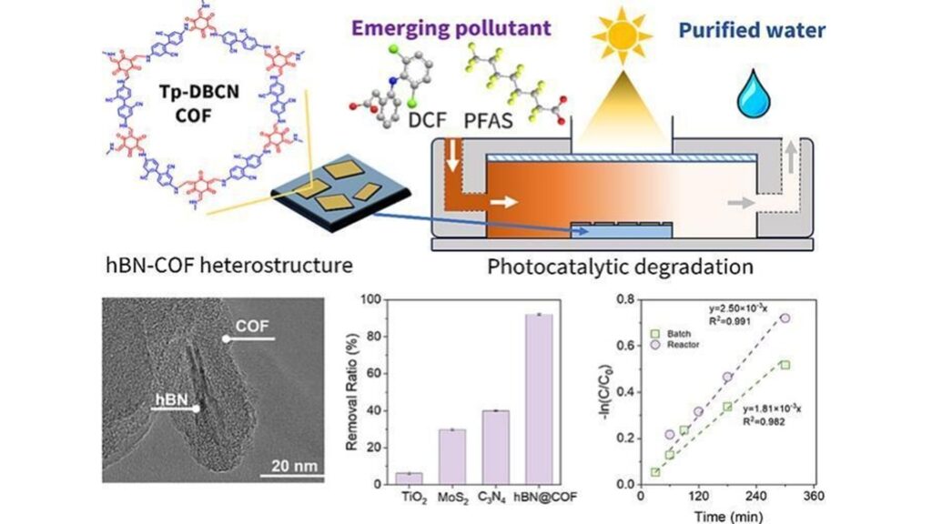 1-s2.0-S1369702125004626-ga1_lrg 1-s2.0-S1369702125004626-ga1_lrg