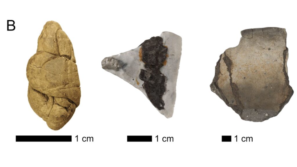 Les différents types d'artefacts analysés dans cette étude comprennent les morceaux de goudron de bouleau « mâchés, le goudron utilisé pour l'abattage et le goudron utilisé pour réparer les récipients en céramique ou en bois // Source : Ancient DNA and biomarkers from artefacts: insights into technology and cultural practices in Neolithic Europe