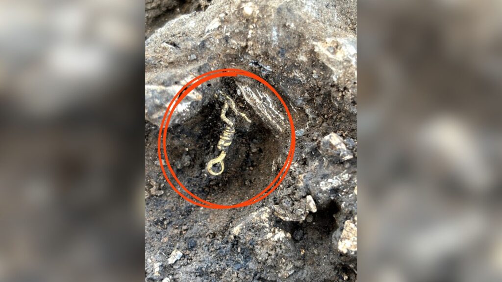 Extrémité du bracelet en or terminé par une boucle encore dans la roche // Source : Anne Viero, Inrap