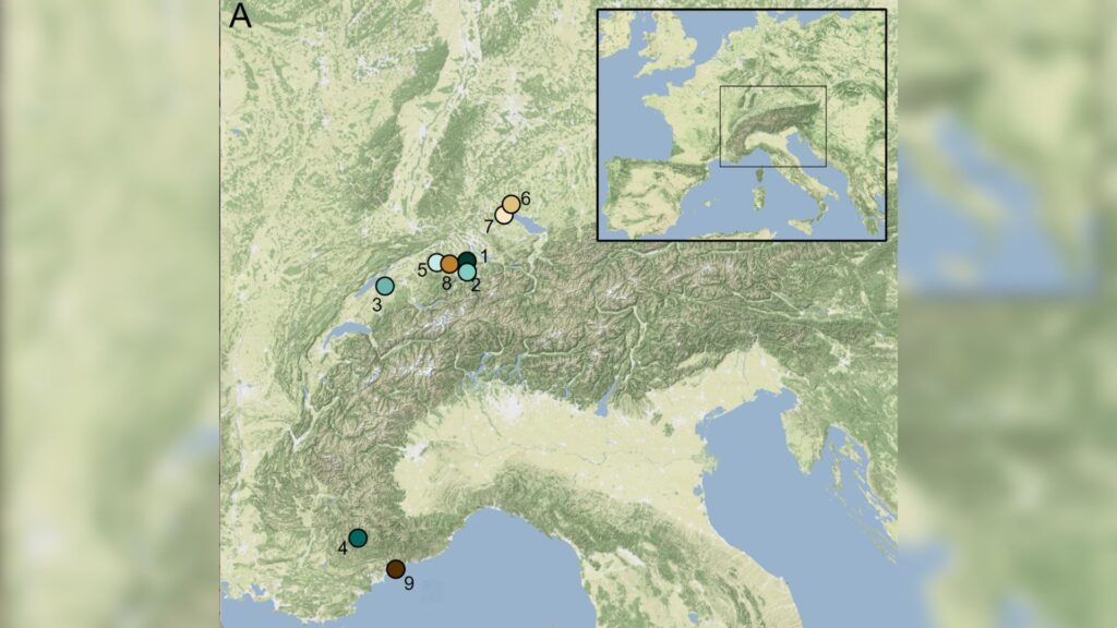 Carte montrant l'emplacement des neuf sites archéologiques à partir desquels les artefacts analysés dans cette étude ont été obtenus. // Source : Ancient DNA and biomarkers from artefacts: insights into technology and cultural practices in Neolithic Europe