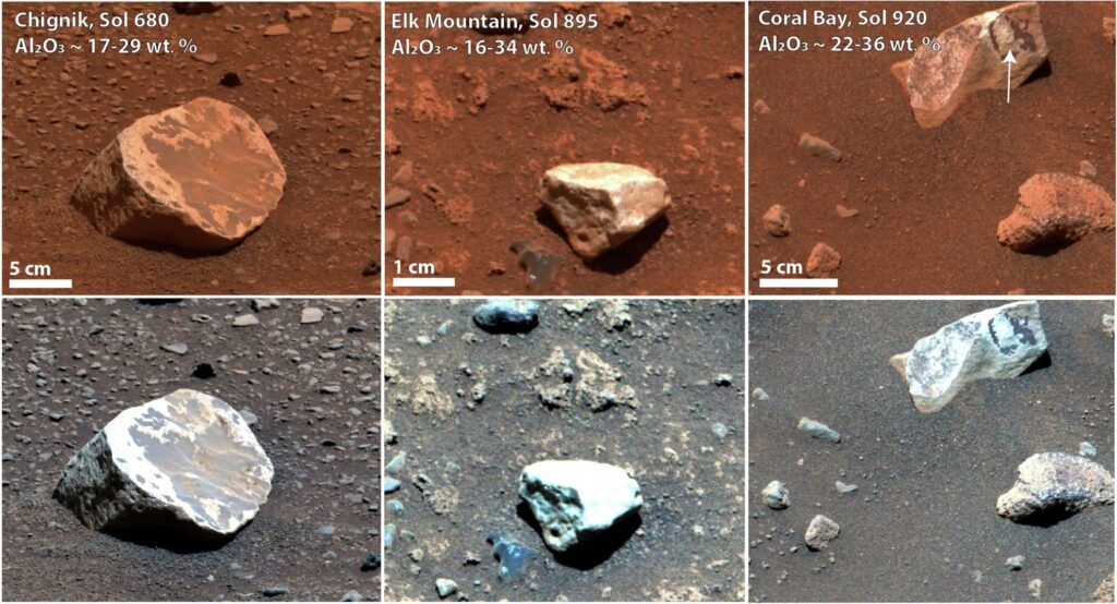 43247_2025_2856_Fig3_HTML