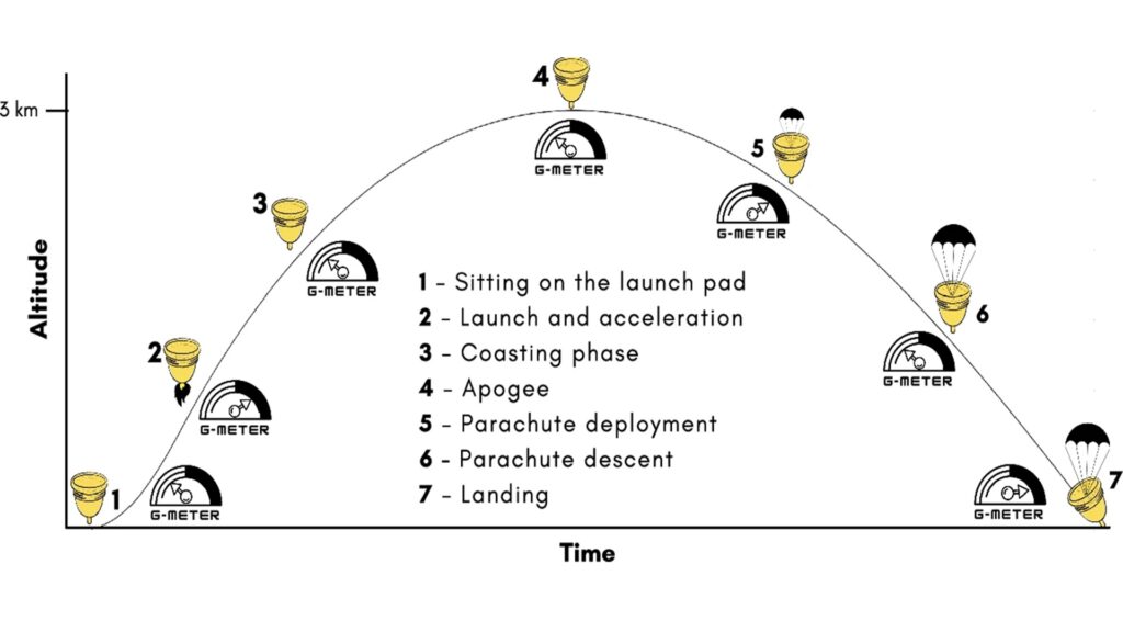 44294_2025_112_Fig3_HTML