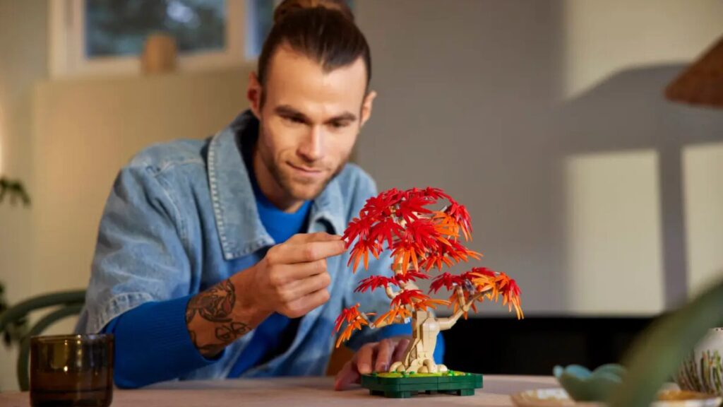 Bonsaï d’érable rouge du Japon // Source : Lego Bonsaï d’érable rouge du Japon // Source : Lego