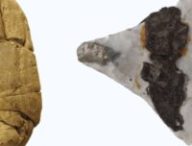 Les différents types d'artefacts analysés dans cette étude comprennent les morceaux de goudron de bouleau « mâchés, le goudron utilisé pour l'abattage. // Source : Ancient DNA and biomarkers from artefacts: insights into technology and cultural practices in Neolithic Europe - modifiée par Numerama