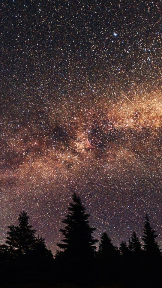 Ciel étoilé. // Source : Envato Ciel étoilé. // Source : Envato