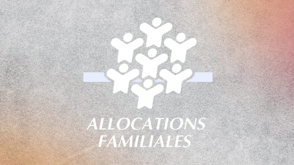 L'outil algorithmique de contr&ocirc;le a &eacute;t&eacute; mis en place d&egrave;s 2011 // Source : CNAF