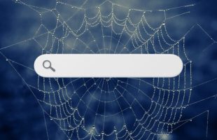 « Pas d'IA* ici », ce navigateur Web mise sur une stratégie à contre-courant // Source : Montage Numerama