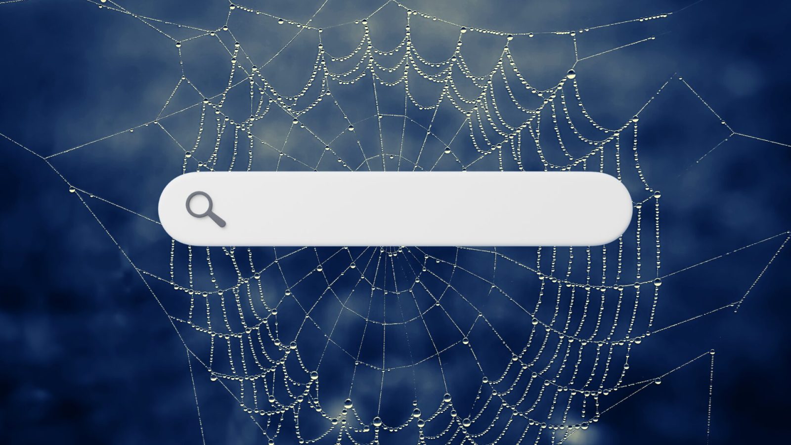 Â« Pas dâ€™IA* ici Â», ce navigateur web mise sur une stratÃ©gie Ã  contre-courant