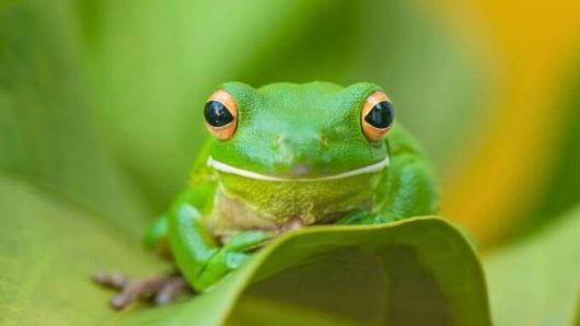 Source : Canva Source : Canva