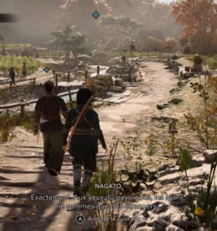 Assassin's Creed Shadows sur Switch 2 // Source : Capture Switch 2