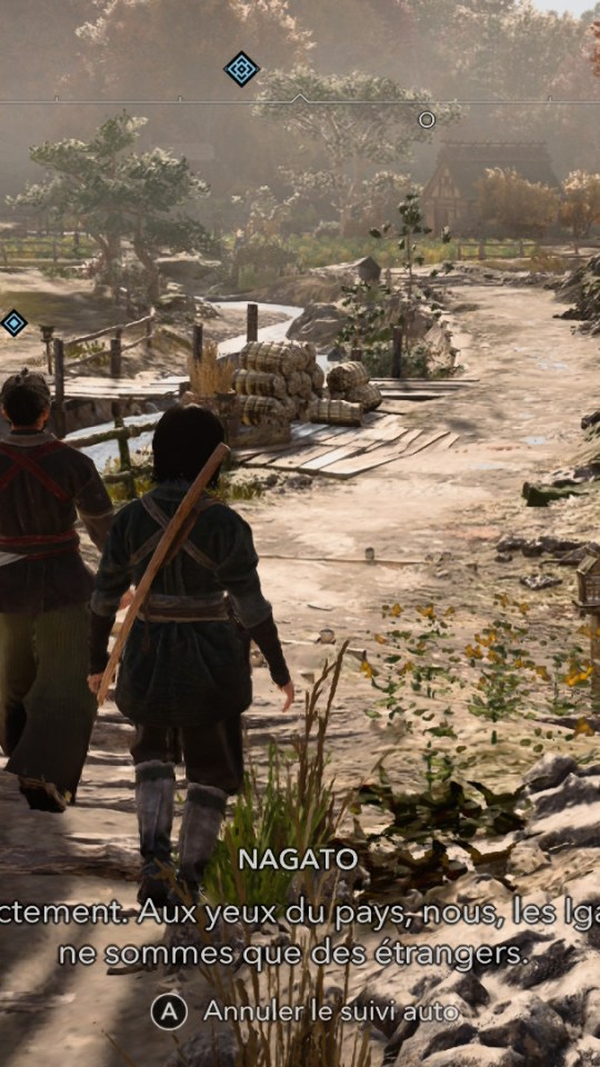 Assassin's Creed Shadows sur Switch 2 // Source : Capture Switch 2