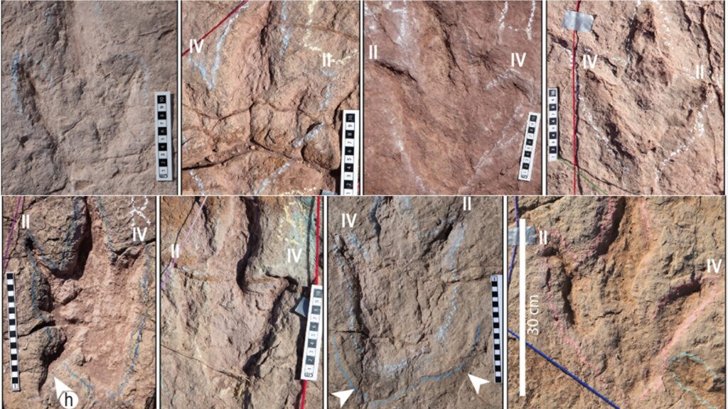 journal.pone.0335973.g005 journal.pone.0335973.g005