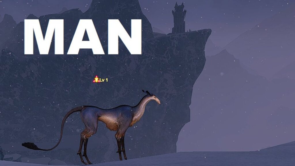 Man // Source : @culling_time sur X Man // Source : @culling_time sur X