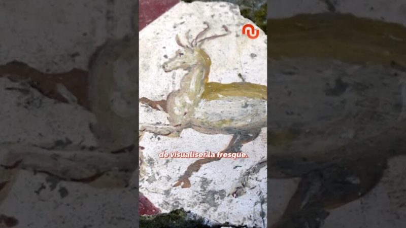 Ce robot incroyable fait gagner un temps fou aux archéologues !