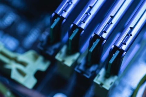 Source : Canva Source : Canva