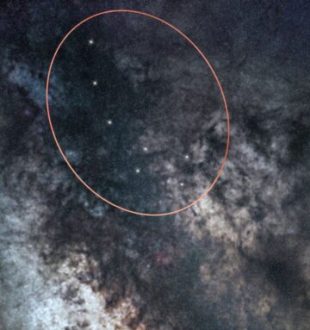 Petite Ourse. // Source : Montage Numerama avec Canva Petite Ourse. // Source : Montage Numerama avec Canva