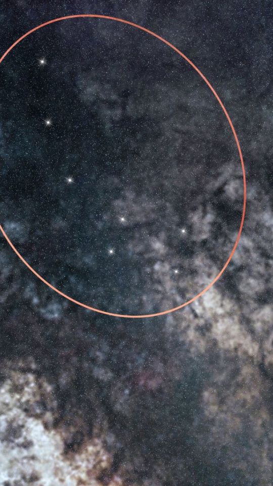 Petite Ourse. // Source : Montage Numerama avec Canva