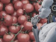 Pourquoi les robots ne savent toujours pas attraper des tomates. // Source : Montage Numerama avec Canva Pourquoi les robots ne savent toujours pas attraper des tomates. // Source : Montage Numerama avec Canva