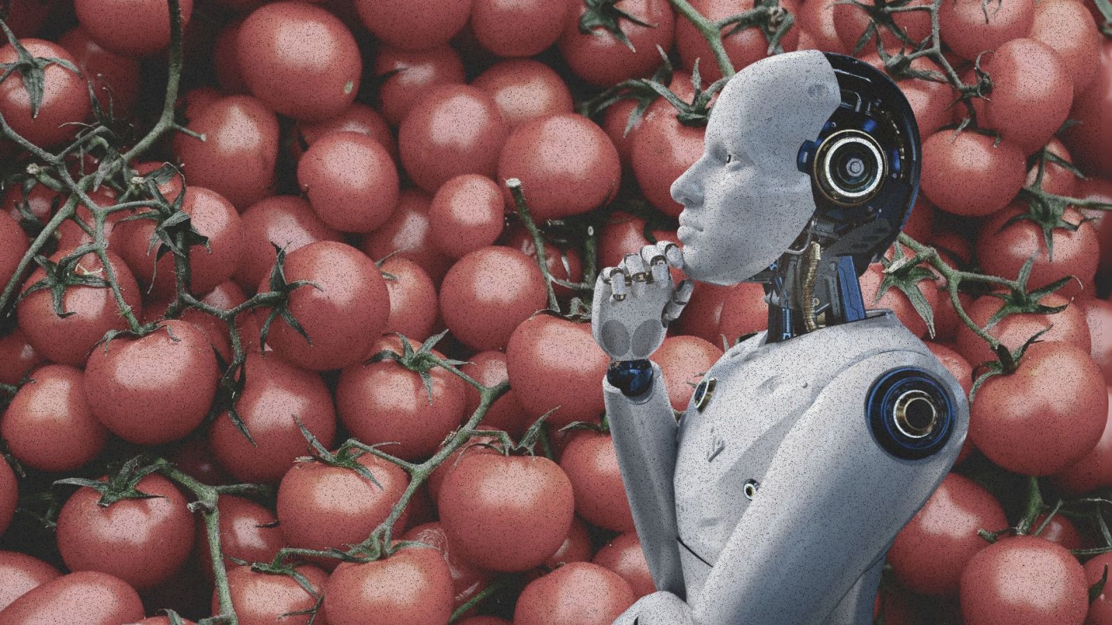 Ils savent jouer aux Ã©checs mais Ã©chouent Ã  attraper Ã  une tomate : la grande faiblesse...