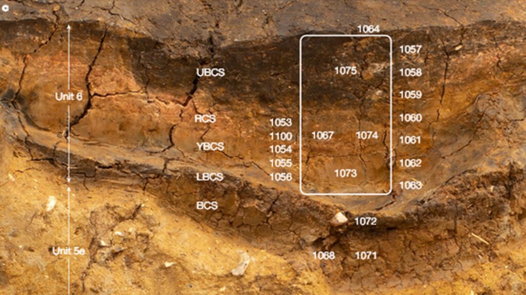 Sans titre Sans titre