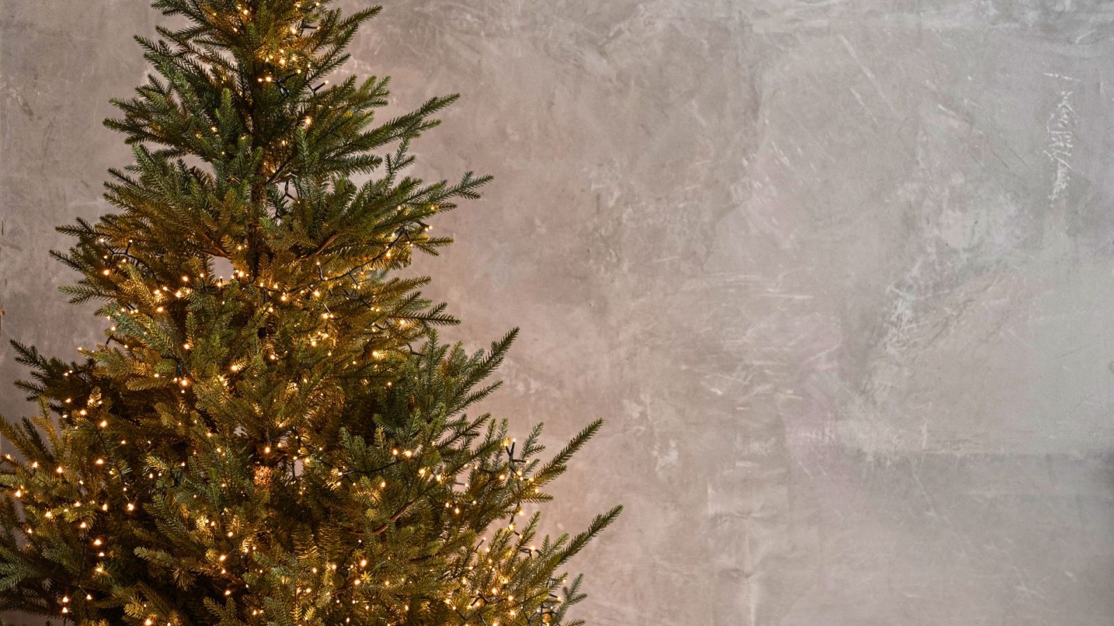 Votre sapin de Noël est sans doute un imposteur
