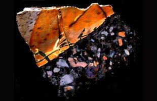 Dentine fossilisée d'éléphant (échelle : 1,5 mm de diamètre), avec la roche visible en bas à droite et la dentine en haut à gauche. La dentine blanche est du collagène intact // Source : Timothy Bromage et Bin Hu, NYU Dentistry