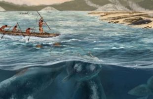 illustration de la chasse à la baleine // Source : Patricia del Amo Martín. ICTA-UAB illustration de la chasse à la baleine // Source : Patricia del Amo Martín. ICTA-UAB