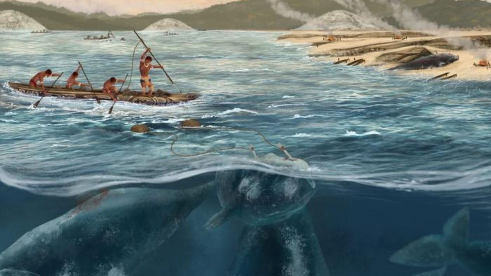 On chassait déjà la baleine en Amérique du Sud il y a 5 000 ans : une réécriture de l’Histoire