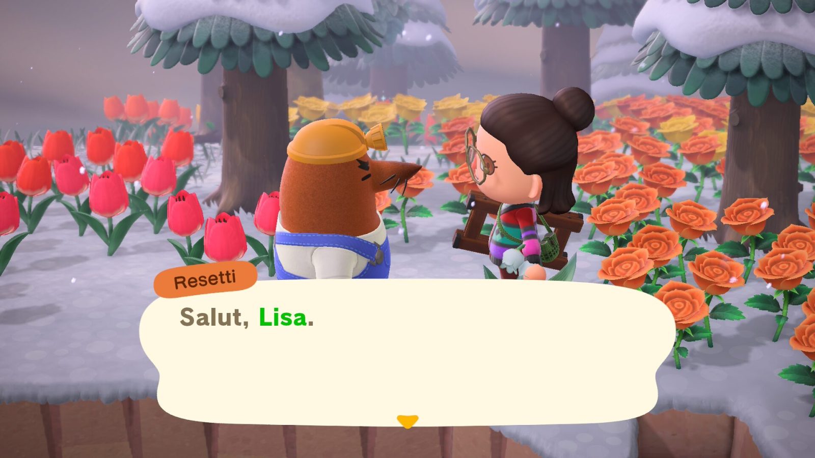 Animal Crossing New Horizons 3.0 : comment nettoyer votre île avec Resetti ?