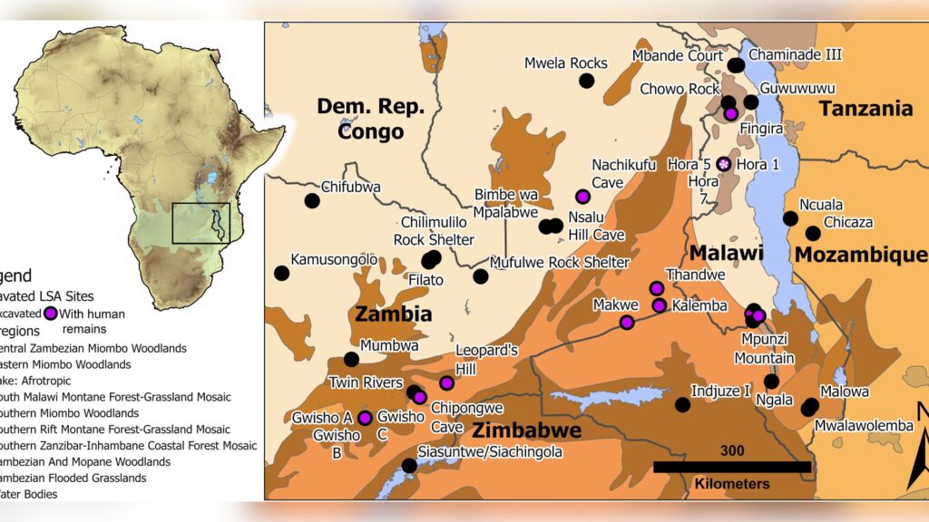 Zone HOR-1 o&ugrave; ont &eacute;t&eacute; retrouv&eacute;s les restes // Source : Science Advances
