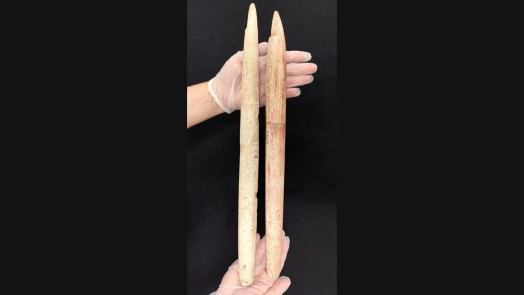 Avant-corps de harpon trouv&eacute; dans une s&eacute;pulture humaine &agrave; Morro do Ouro. // Source : ERC- TRADITION