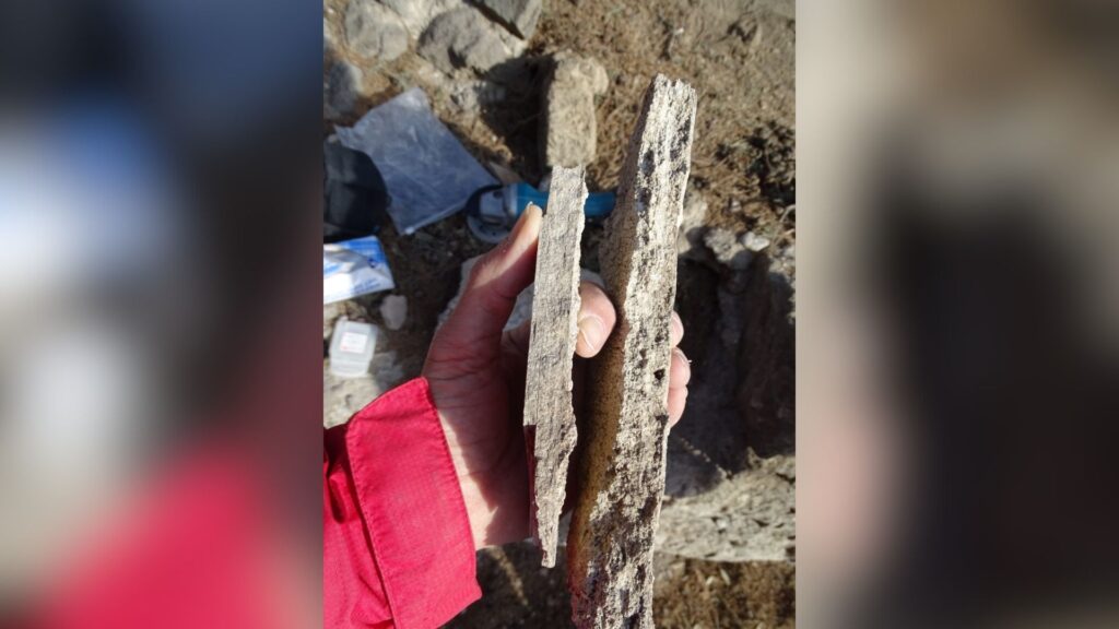 &Eacute;chantillons de carbonate provenant des thermes r&eacute;publicains de Pomp&eacute;i // Source : Cees Passchier