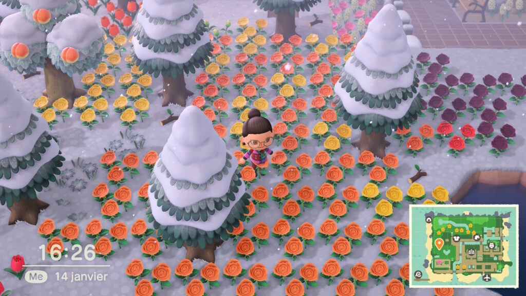 &Ccedil;a fait beaucoup de fleurs oranges...non ?  // Source : Capture d'&eacute;cran Numerama