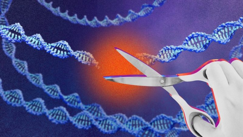 Thérapies CRISPR&nbsp;: où en est vraiment l&rsquo;édition du génome pour soigner les malades&nbsp;?