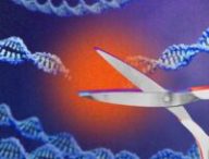 Source : Montage Numerama Source : Montage Numerama