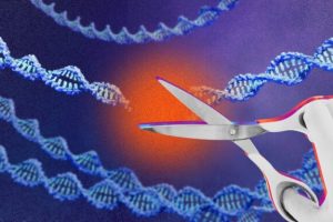 Source : Montage Numerama