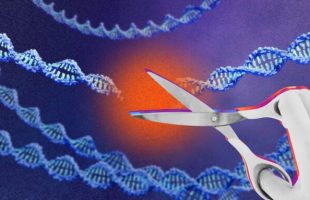 Source : Montage Numerama