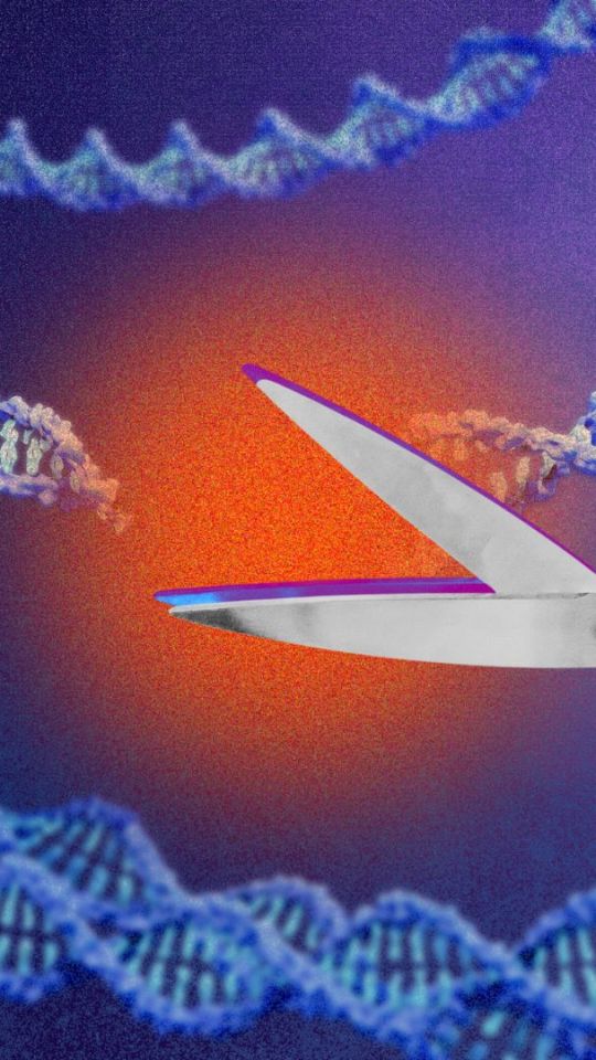 Source : Montage Numerama