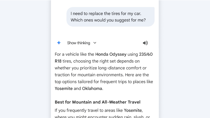 Gemini a propos&eacute; diff&eacute;rents types de pneus en fonction de l'utilisation souhait&eacute;e. // Source : Google 