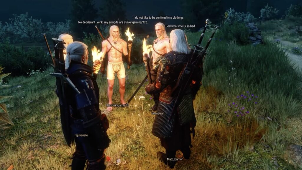 Plusieurs Geralt dans The Witcher 3: Wild Hunt gr&acirc;ce &agrave; un mod // Source : Capture d'&eacute;cran 